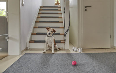 Dieser Teppich tut gut!